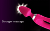 Sex Product Vibrator for Woman